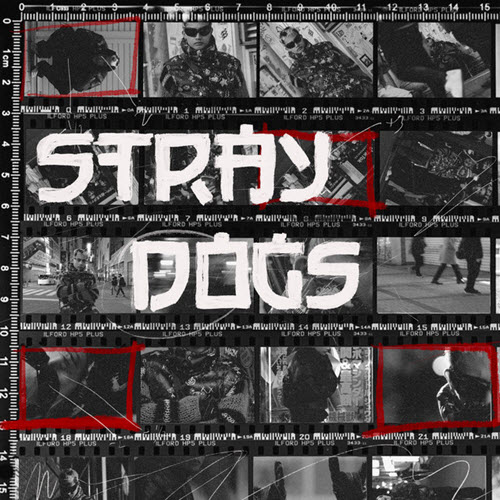 STRAYDOGS song by Felip